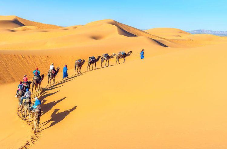 Camel Trekking